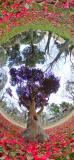 360度撮影カメラの写真